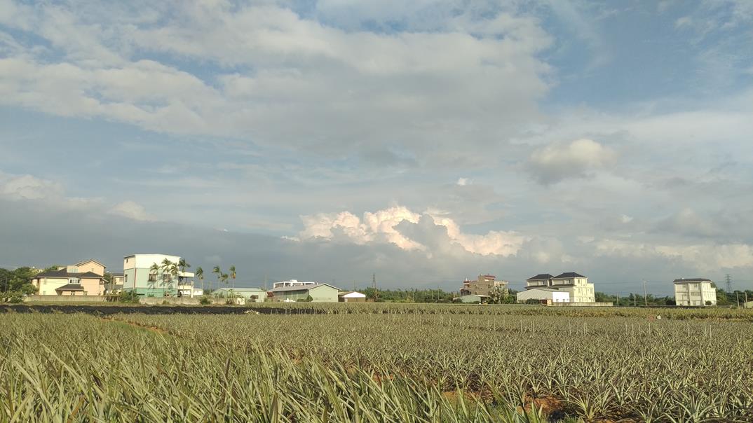 圖檔